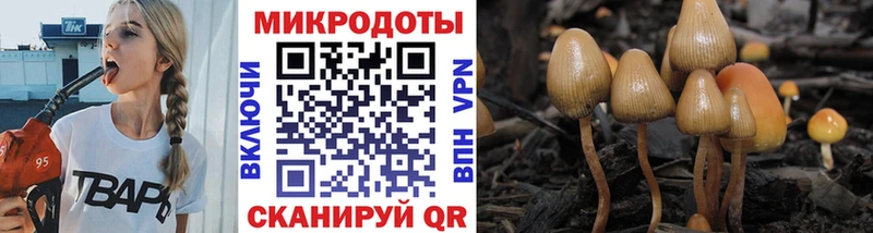 что такое наркотик Тарко-Сале Псилоцибиновые грибы Magic Shrooms